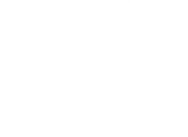 Центр социальной и культурной адаптации иностранных граждан