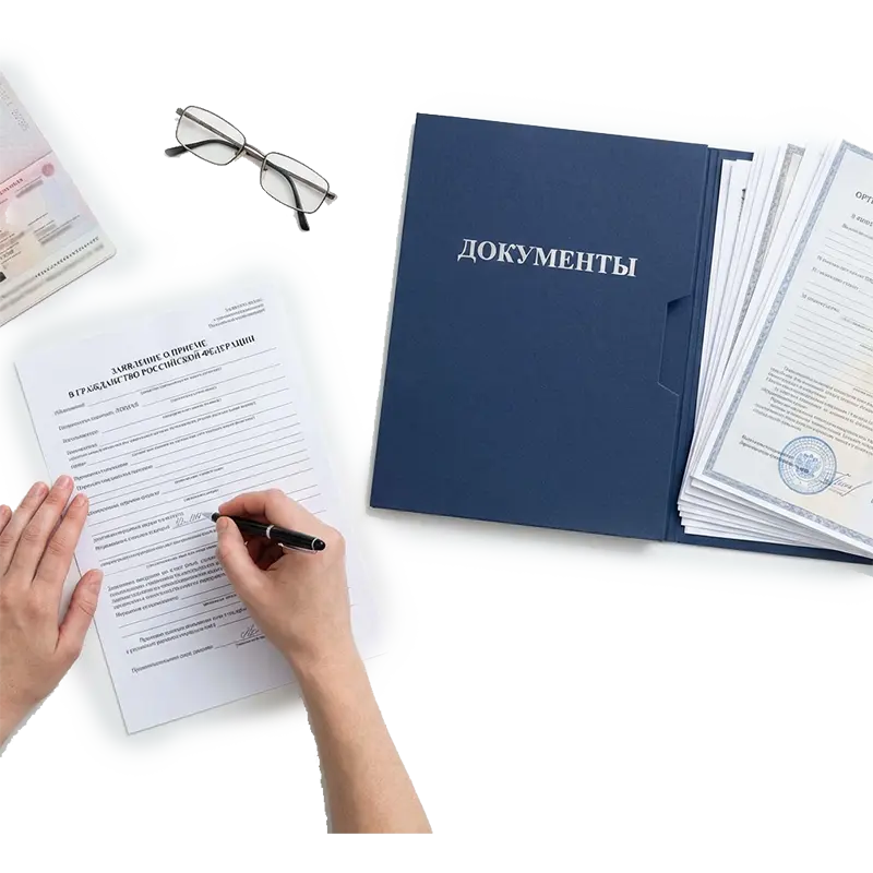 Оформление и получение документов: как подать правильно и без ошибок 